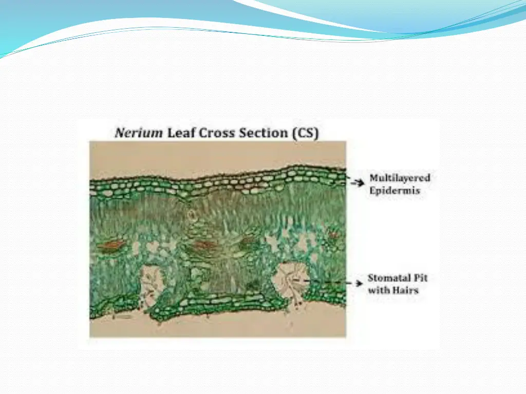 slide14