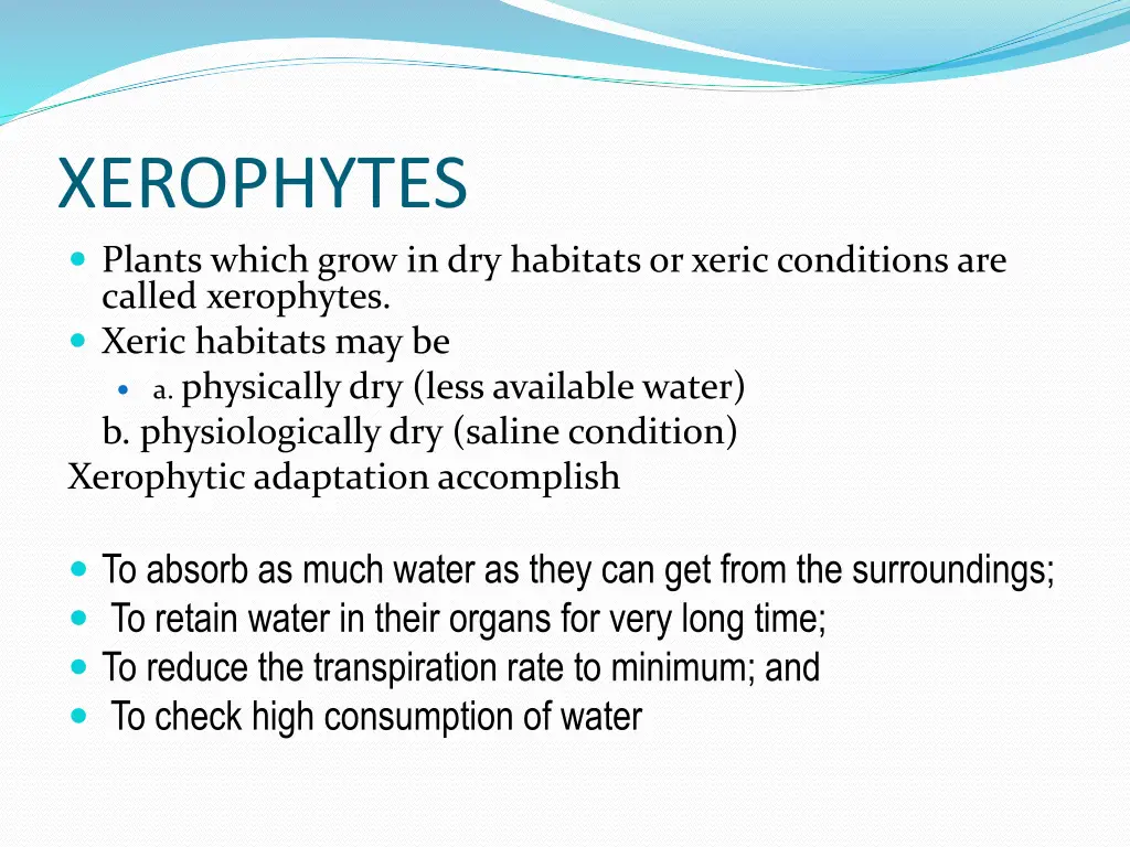 xerophytes plants which grow in dry habitats