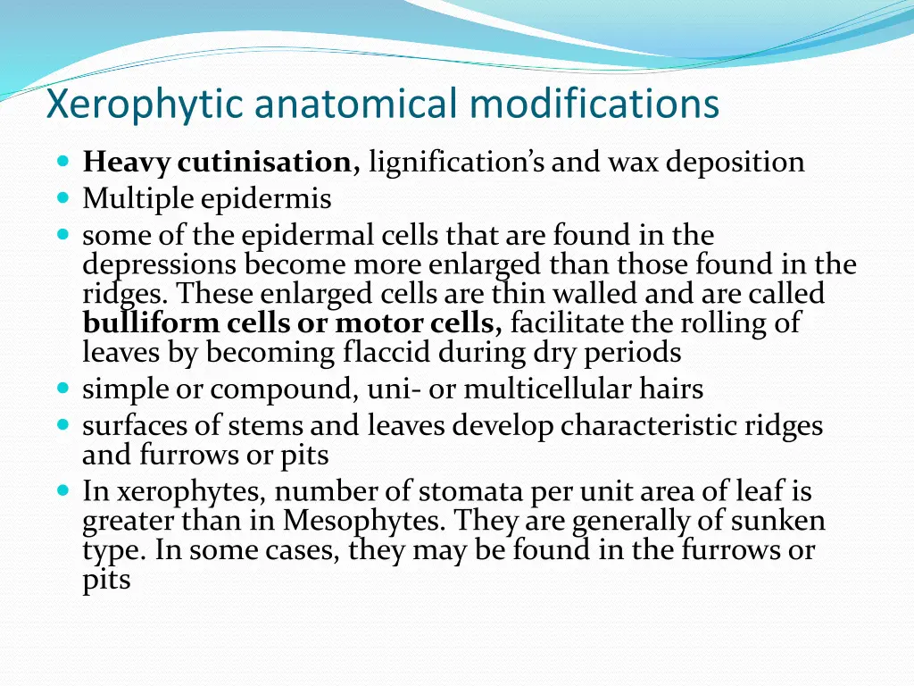 xerophytic anatomical modifications