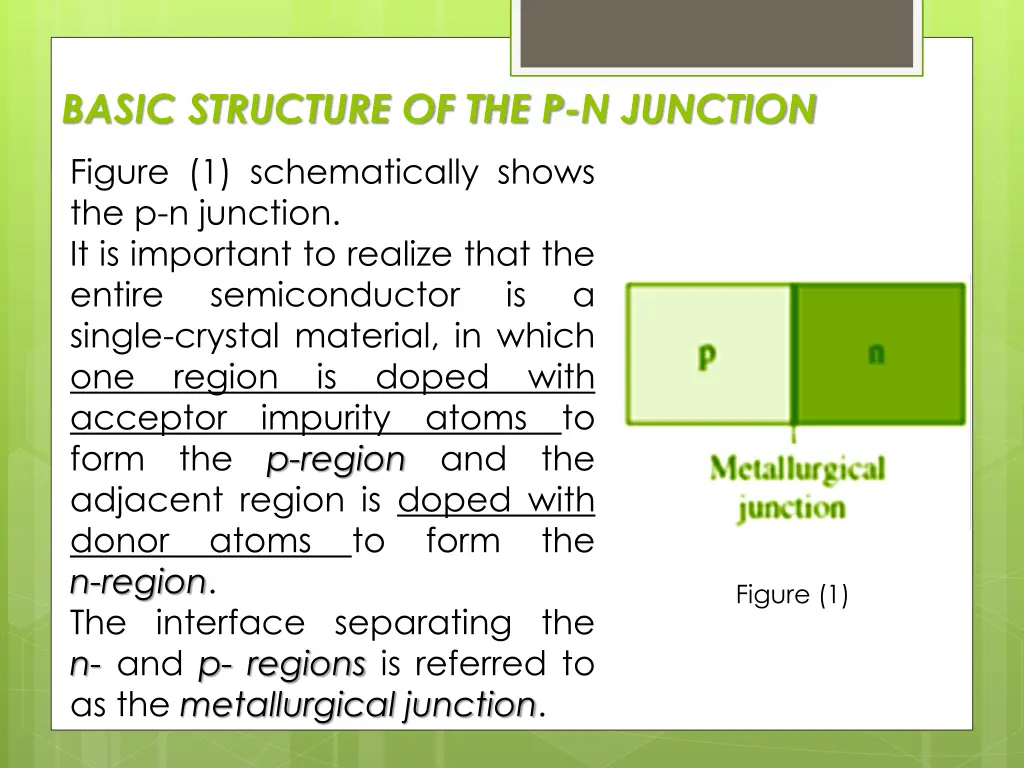 basic structure of the p n junction