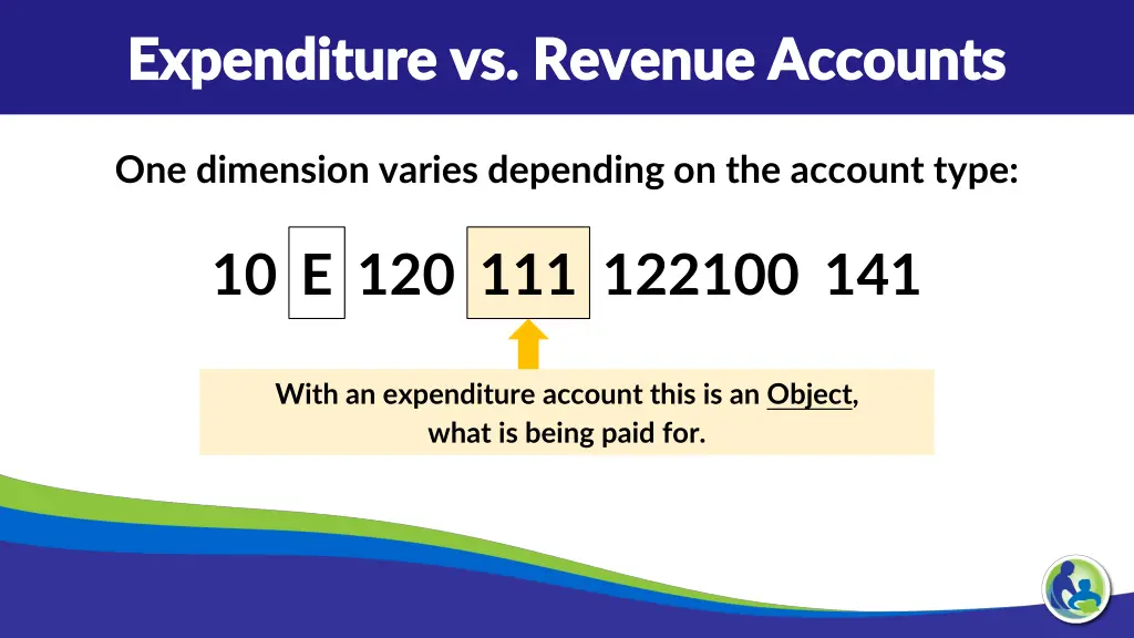 expenditure vs revenue accounts expenditure