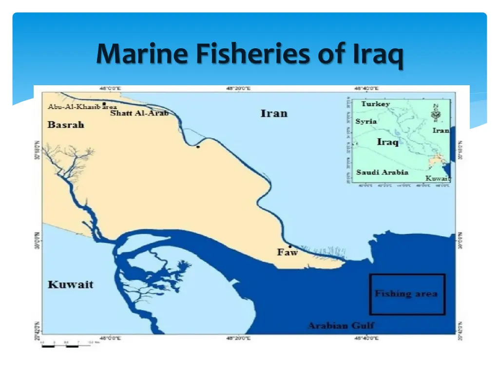 marine fisheries of iraq
