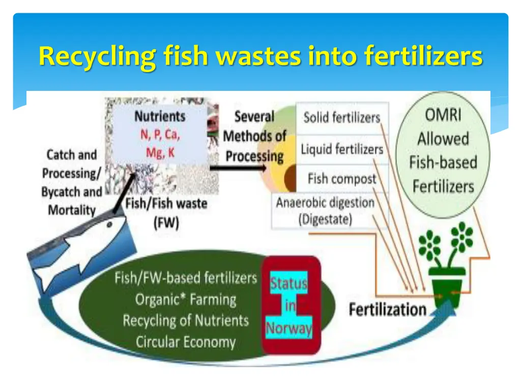 recycling fish wastes into fertilizers