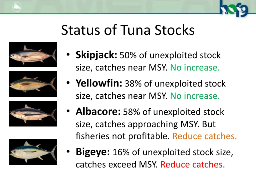 status of tuna stocks