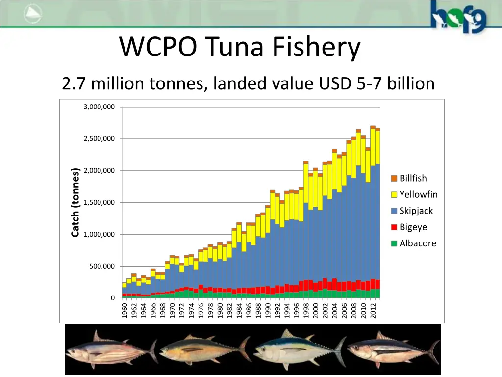 wcpo tuna fishery