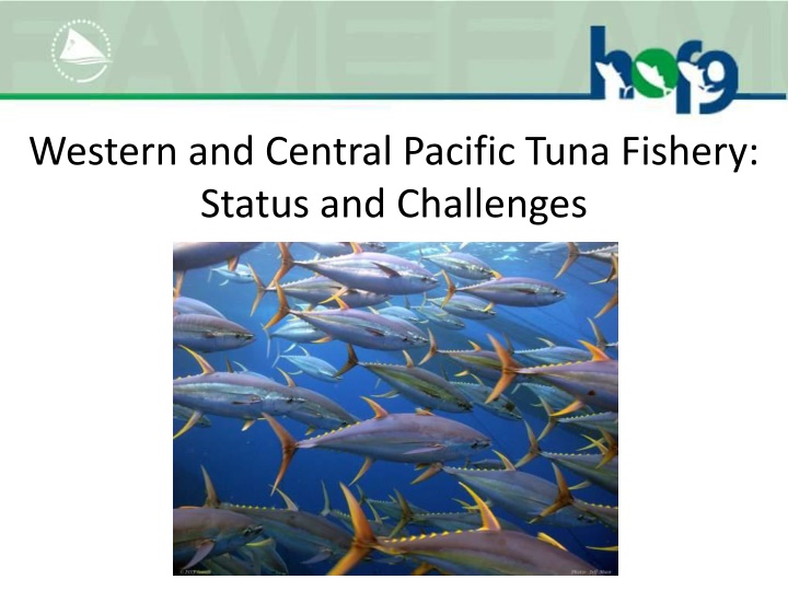 western and central pacific tuna fishery status