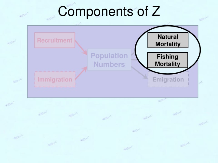components of z