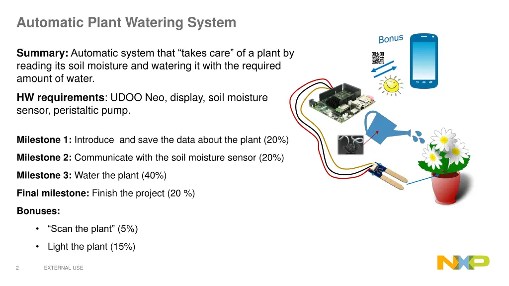 automatic plant watering system