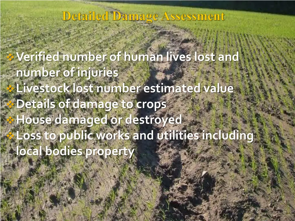 verified number of human lives lost and number