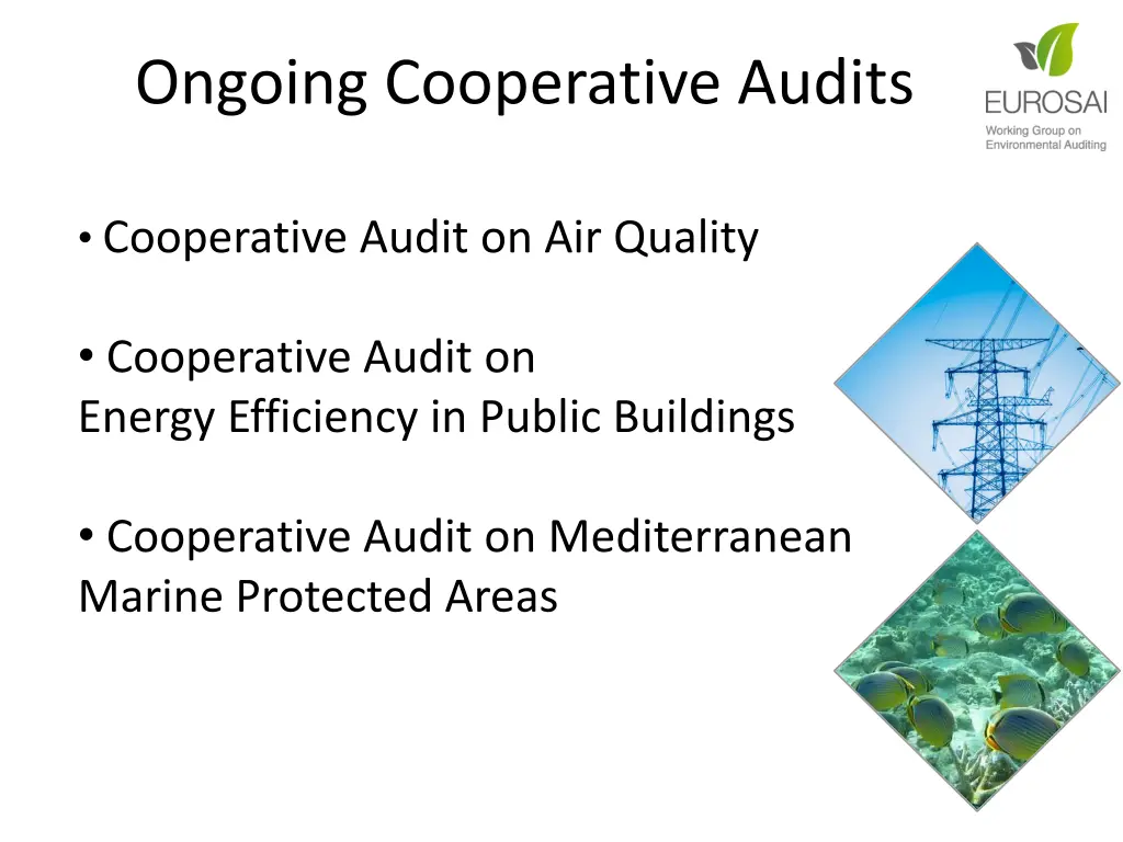 ongoing cooperative audits