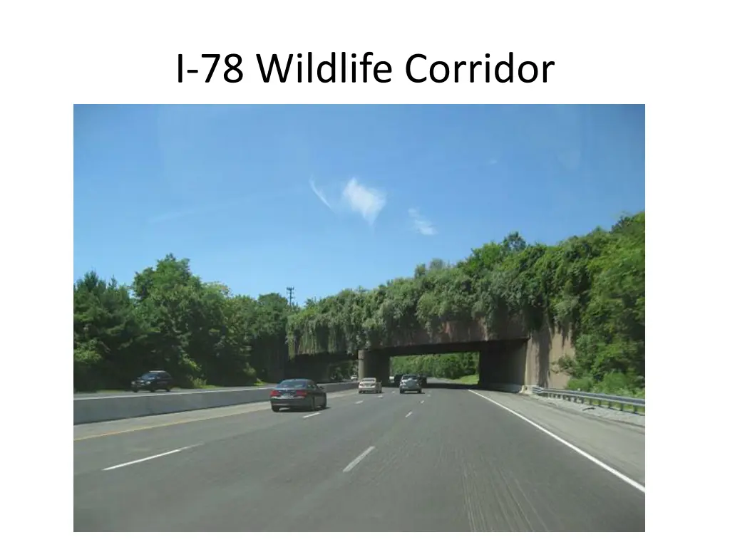 i 78 wildlife corridor