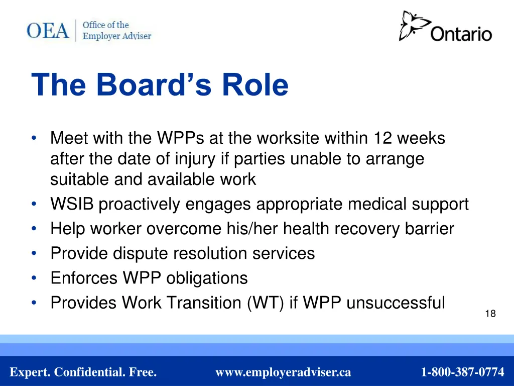 the board s role