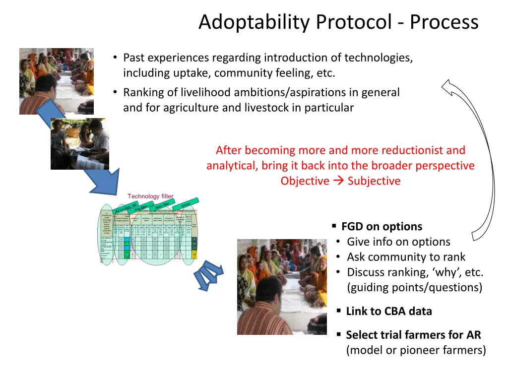 adoptability protocol process