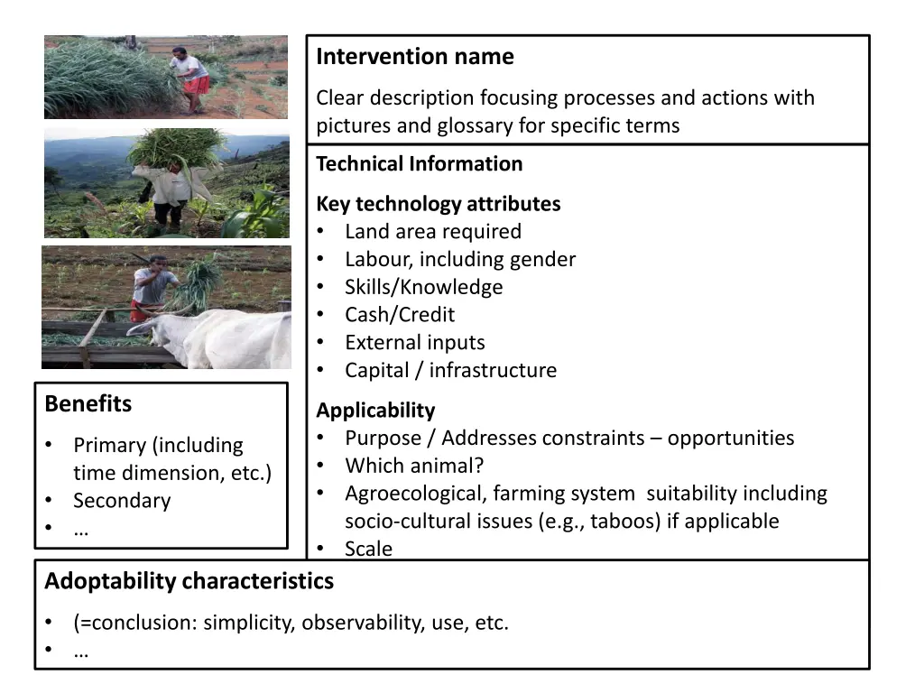 intervention name
