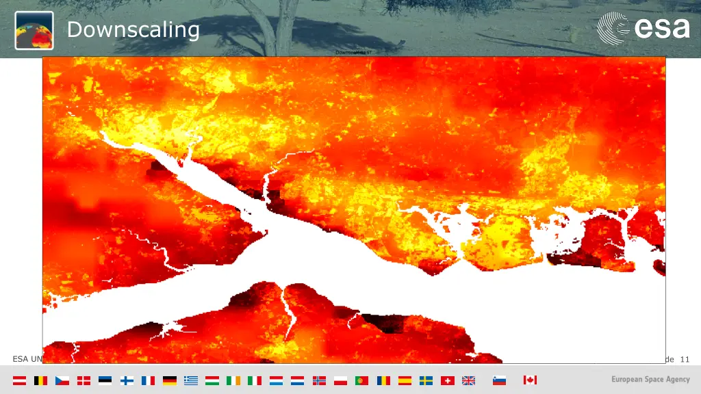 downscaling 3