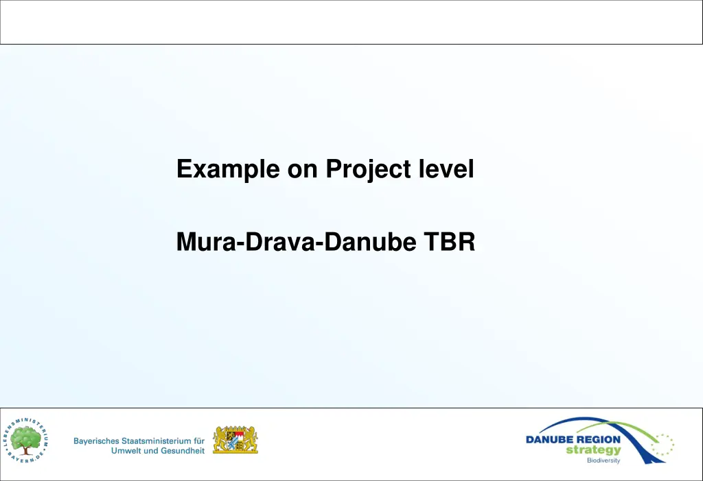 example on project level 1