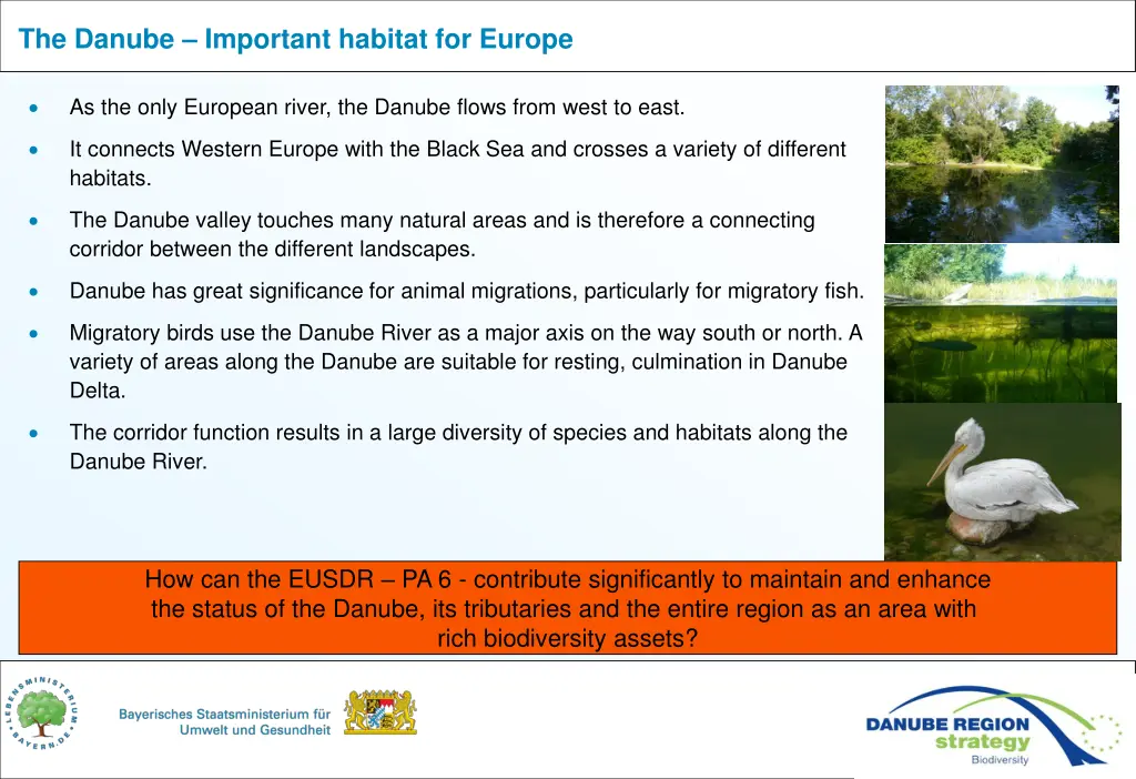 the danube important habitat for europe