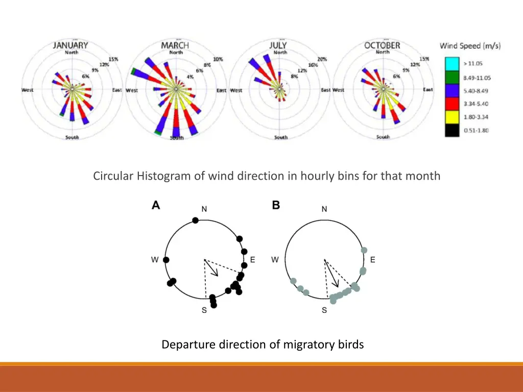 circular histogram of wind direction in hourly