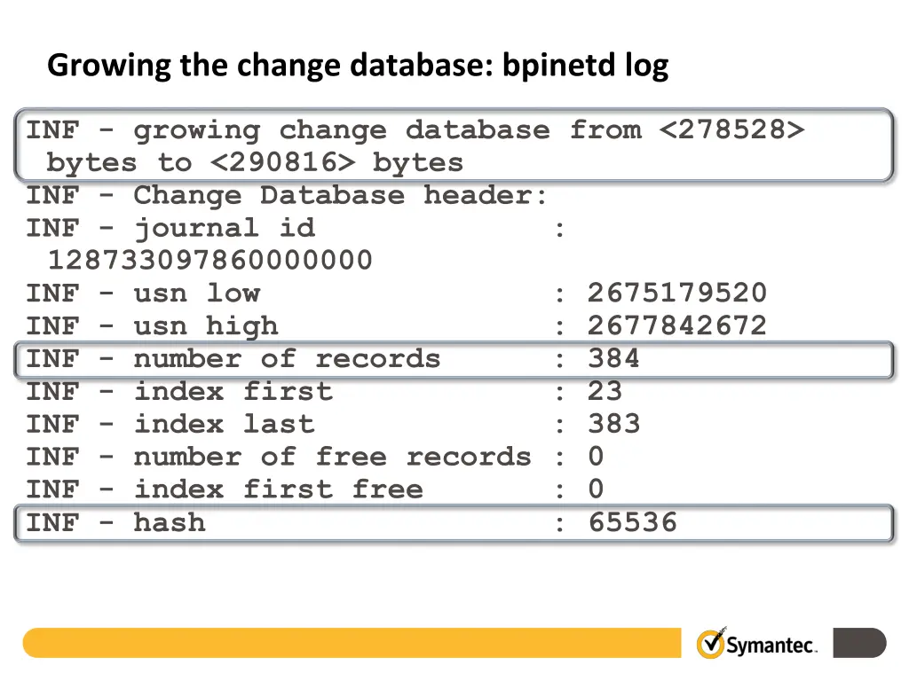 growing the change database bpinetd log