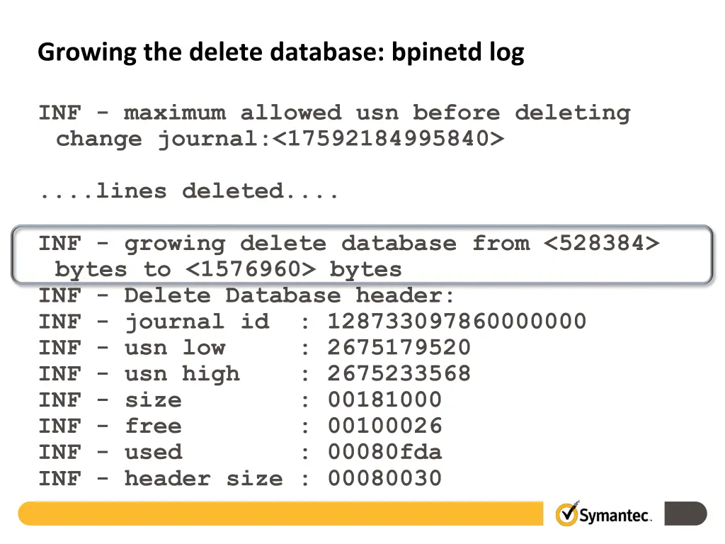 growing the delete database bpinetd log