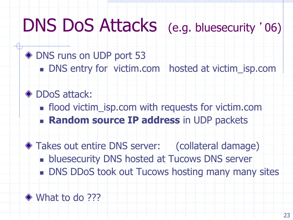 dns dos attacks e g bluesecurity 06