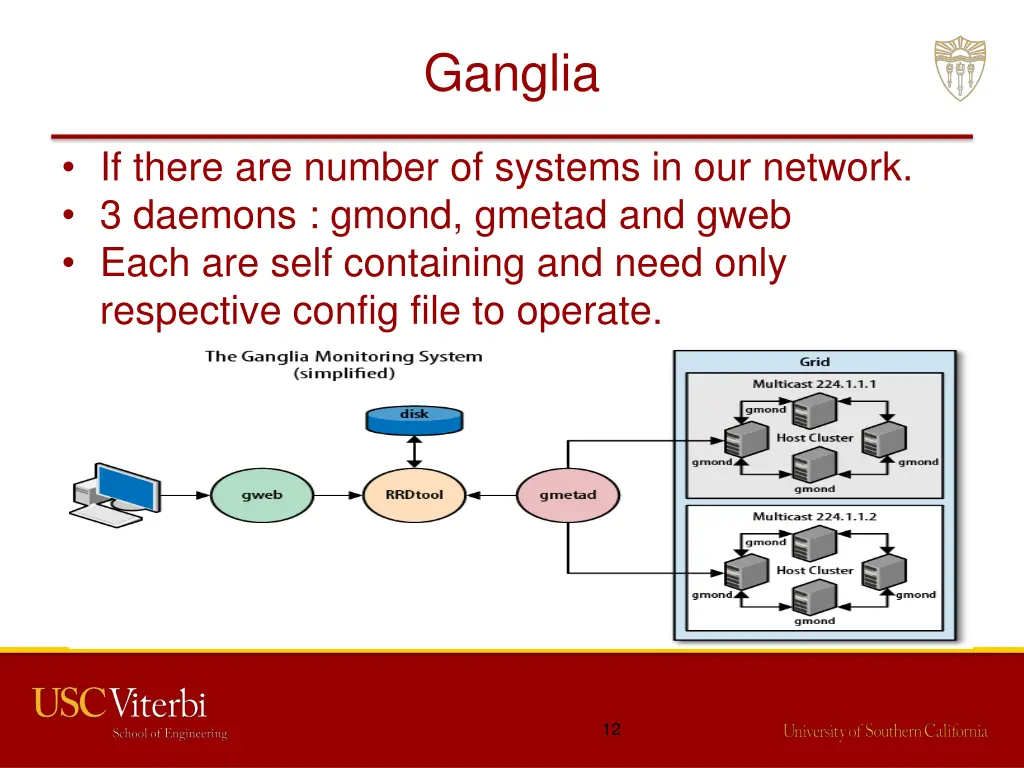 ganglia