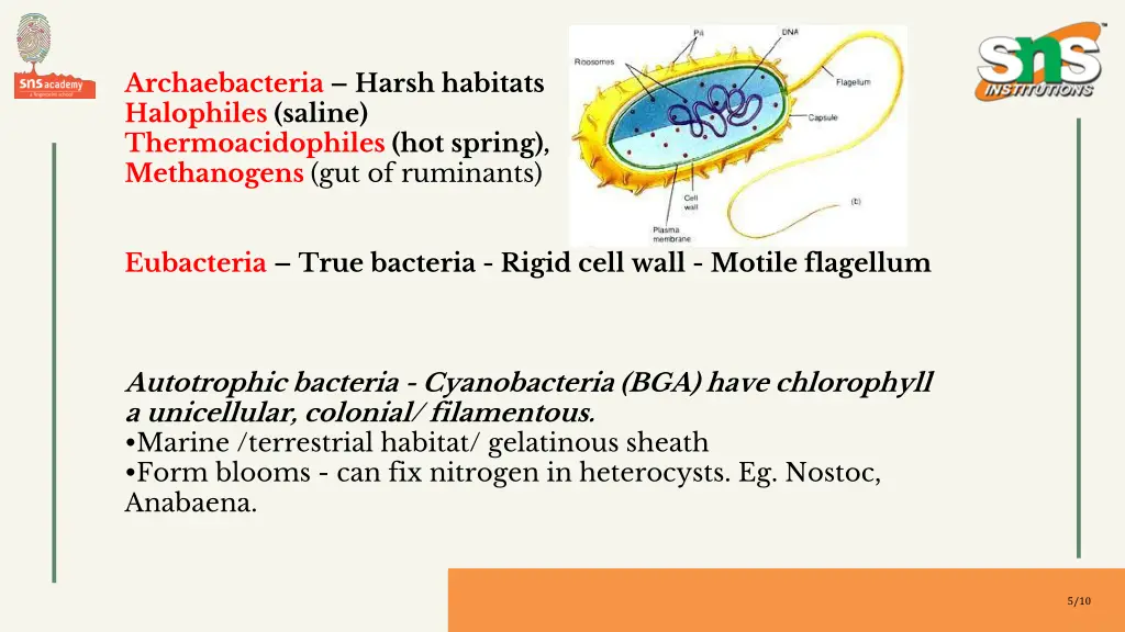 archaebacteria harsh habitats halophiles saline