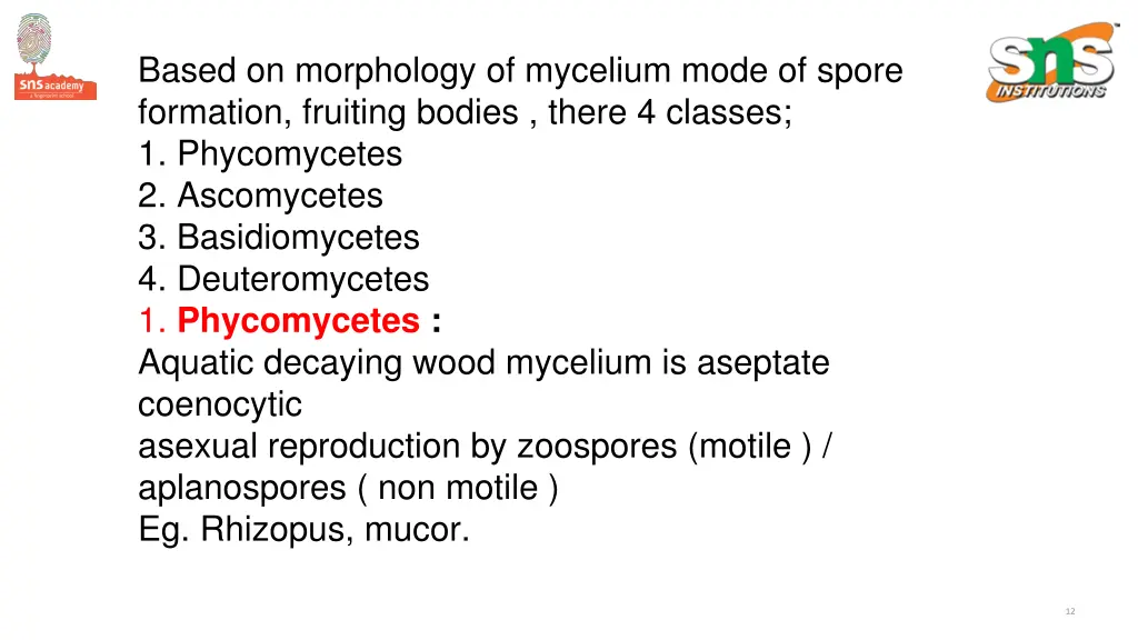 based on morphology of mycelium mode of spore