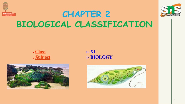 chapter 2