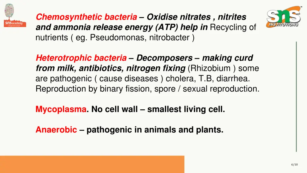 chemosynthetic bacteria oxidise nitrates nitrites
