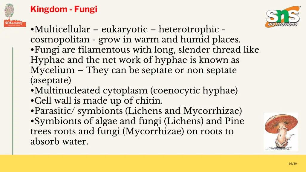 kingdom fungi