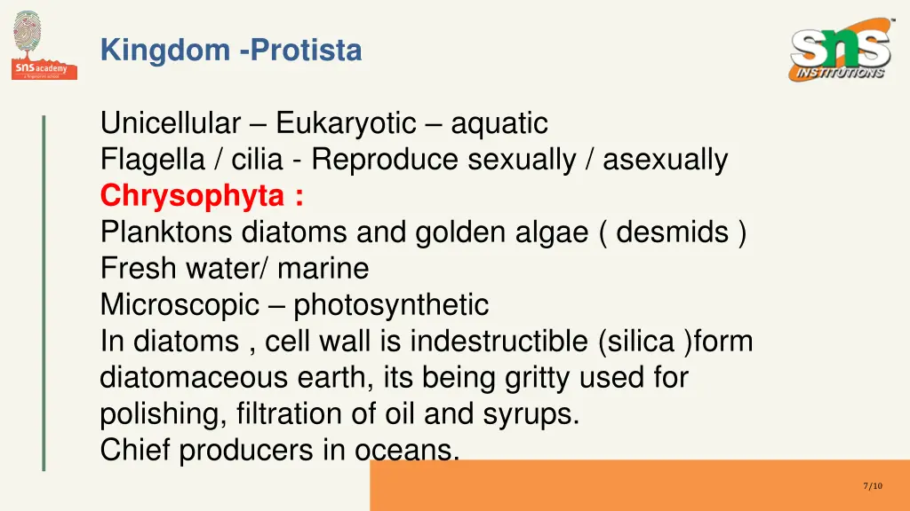 kingdom protista