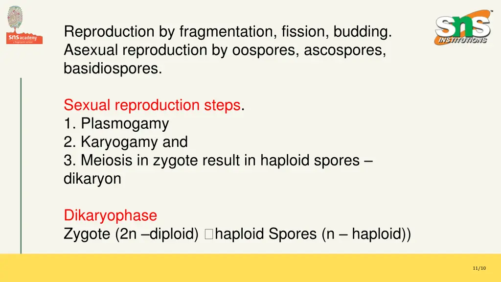 reproduction by fragmentation fission budding