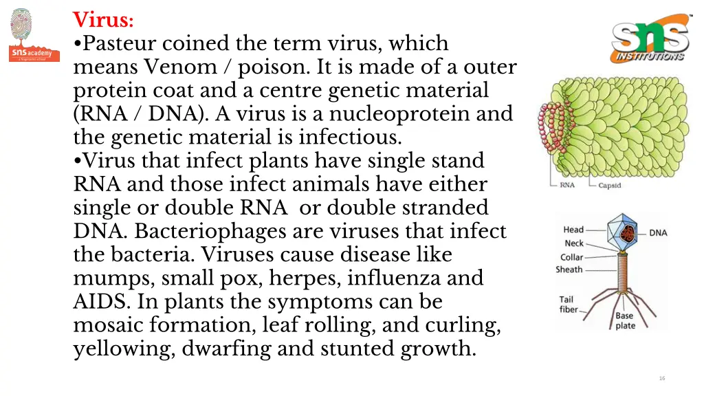 virus pasteur coined the term virus which means