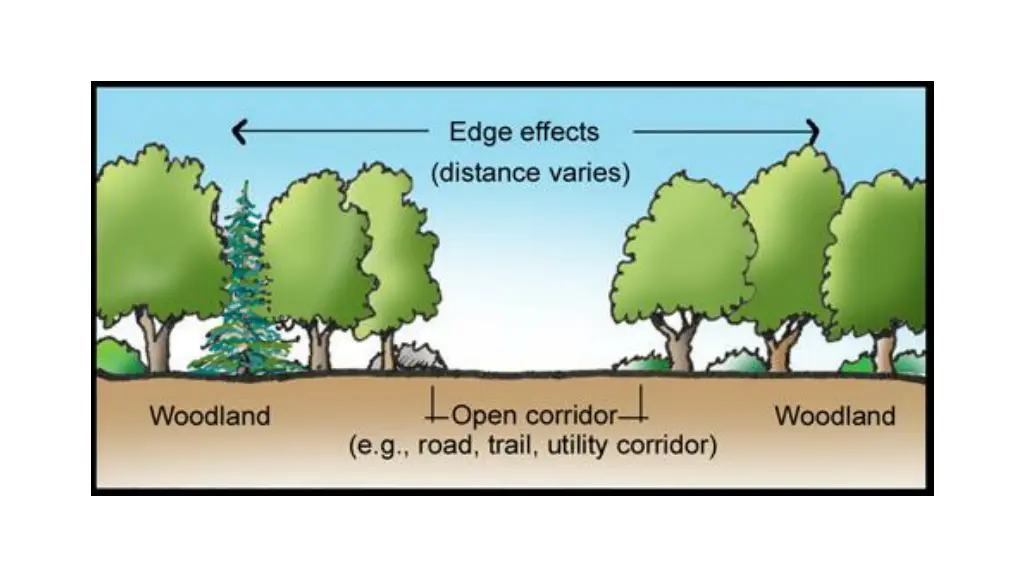 slide9