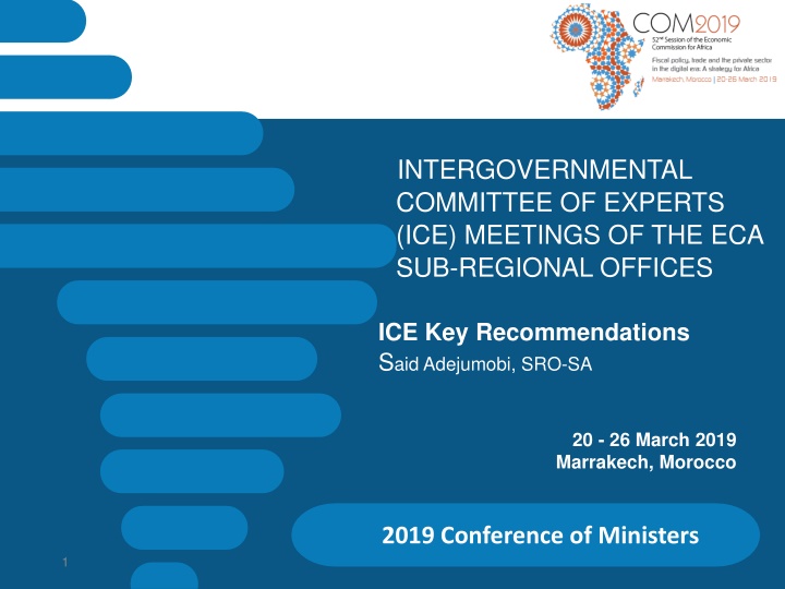 intergovernmental committee of experts