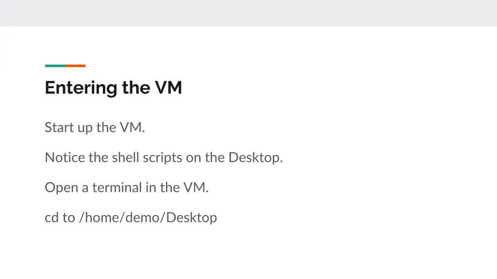 entering the vm