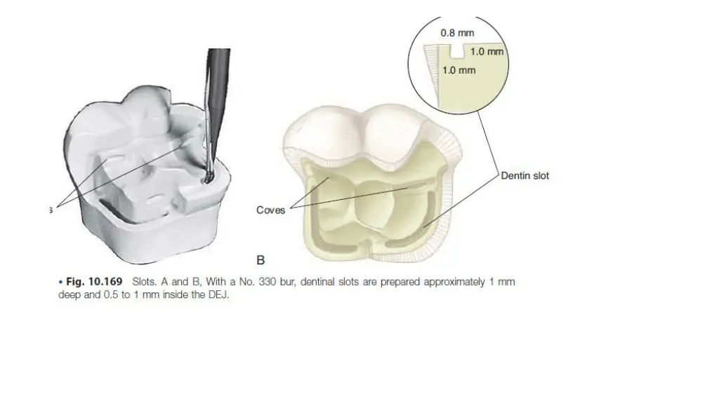 slide20