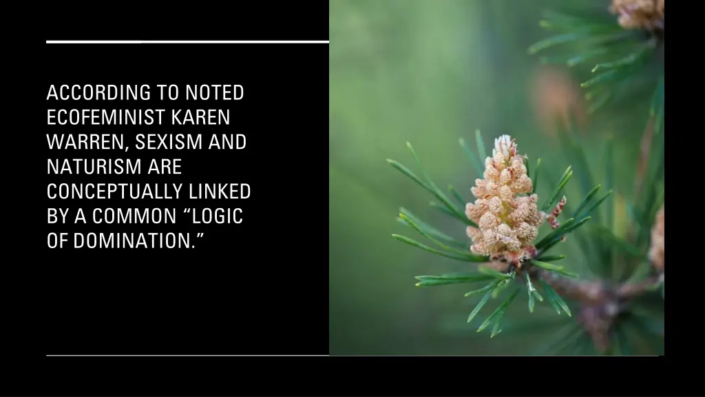 according to noted ecofeminist karen warren