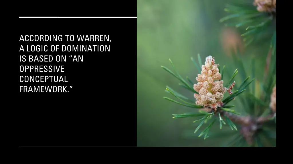 according to warren a logic of domination