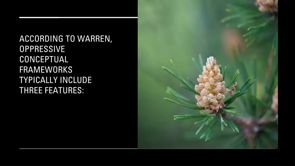 according to warren oppressive conceptual