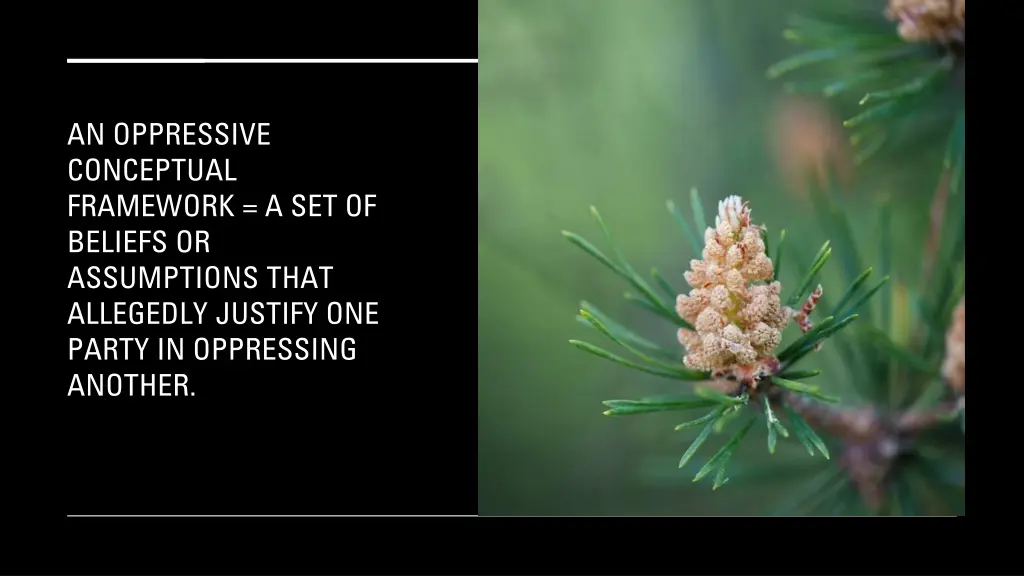 an oppressive conceptual framework