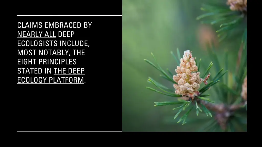 claims embraced by nearly all deep ecologists