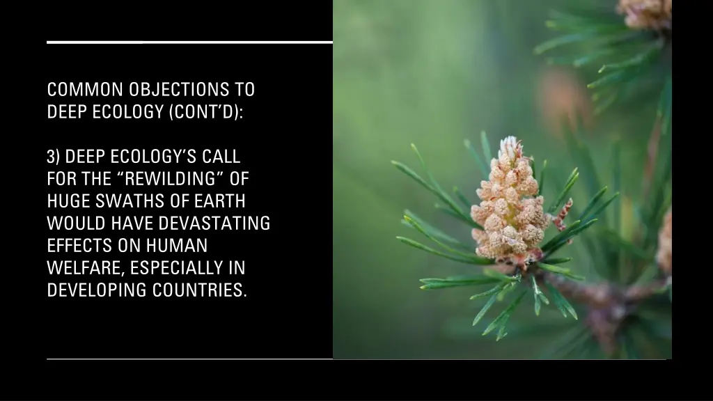 common objections to deep ecology cont d 1