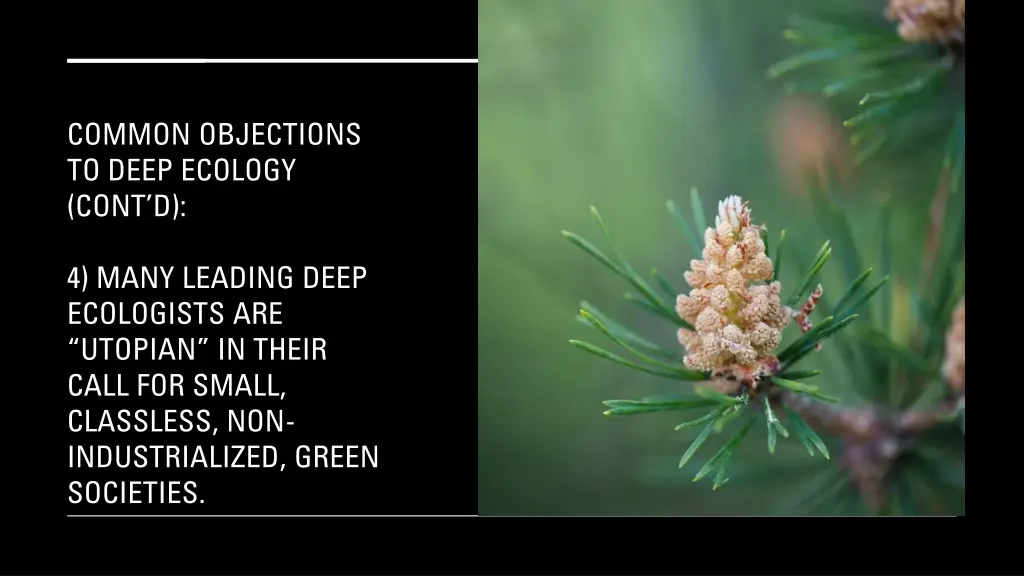 common objections to deep ecology cont d 2