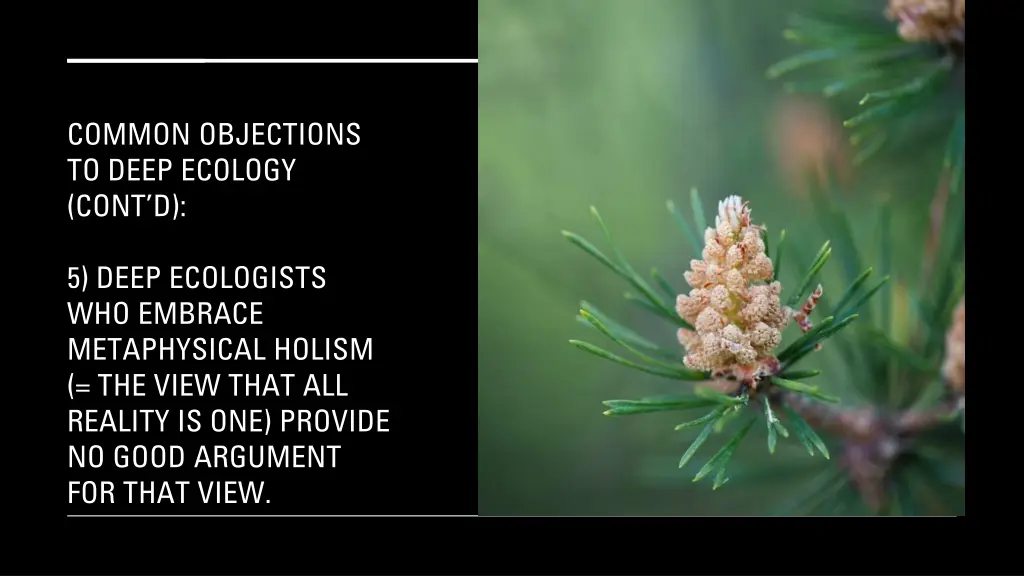 common objections to deep ecology cont d 3