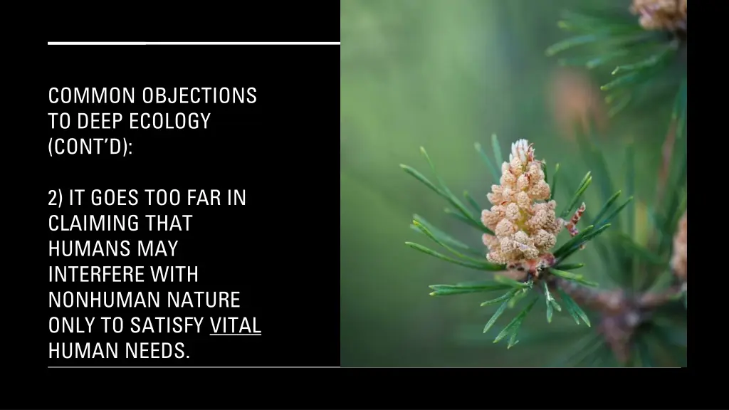 common objections to deep ecology cont d