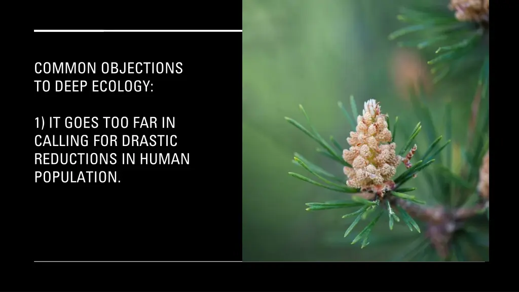 common objections to deep ecology