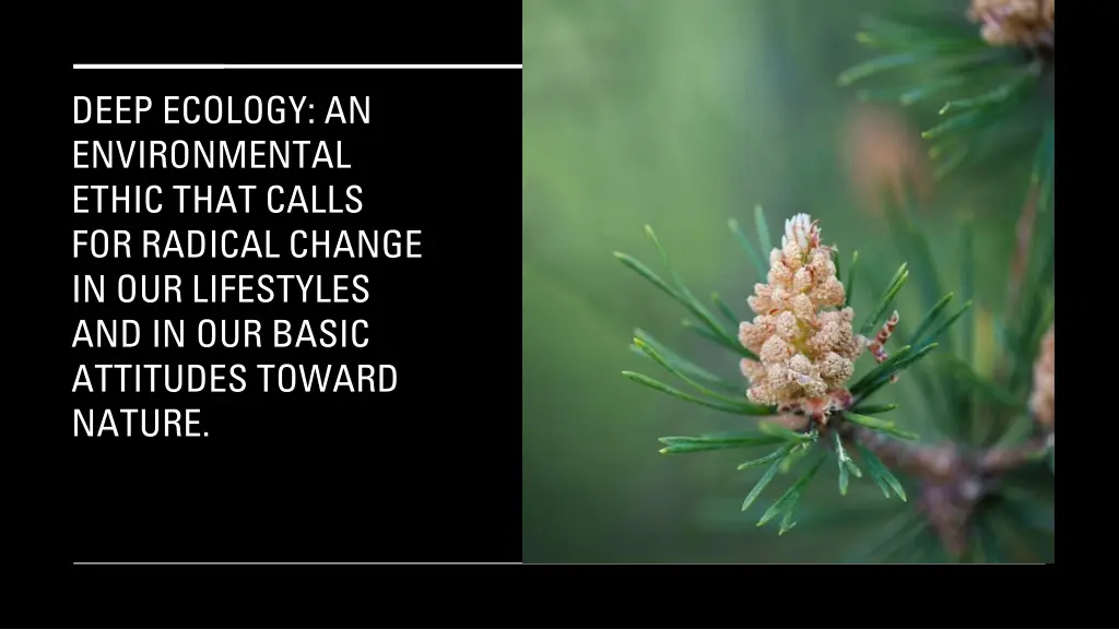 deep ecology an environmental ethic that calls