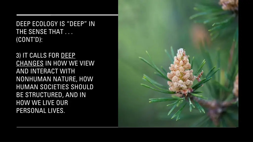 deep ecology is deep in the sense that cont d 1